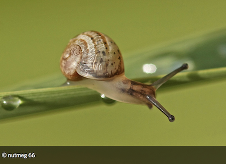 Lesson Plan: Notice and Wonder