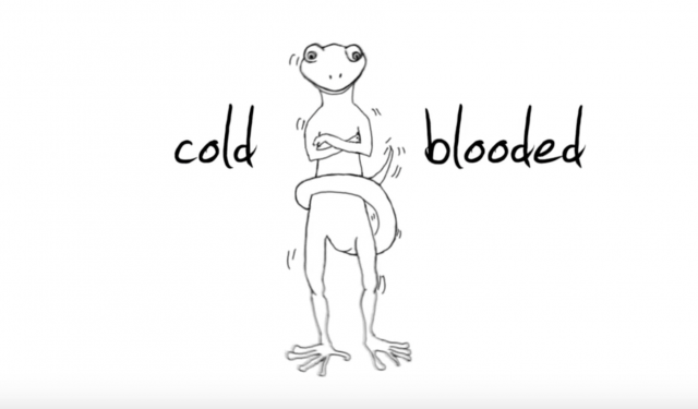 7,000 Kinds of Amphibians