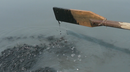 Pollution: A New Ecotourism