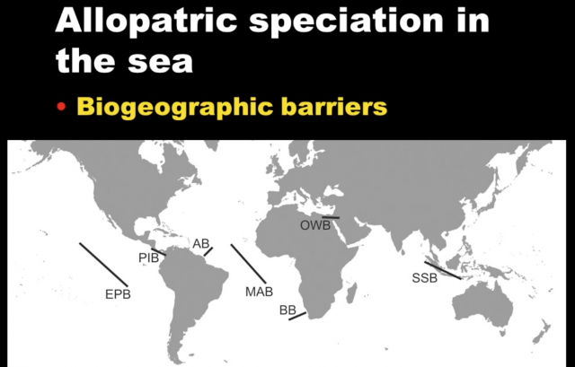 Diversity and Evolution of Coral Reef Fishes