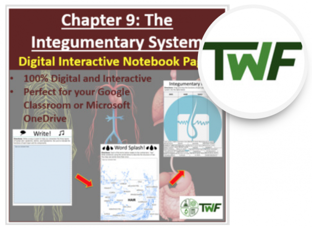 The Integumentary System - Digital Interactive Notebook Pages