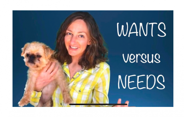 Wants Versus Needs Lesson for Kids