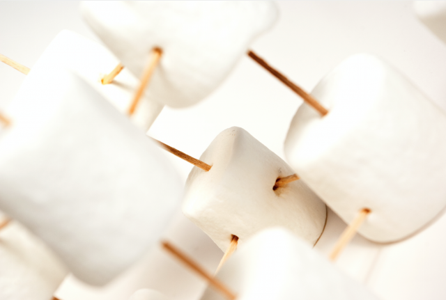 Marshmallows, toothpicks, and Building- OH MY!