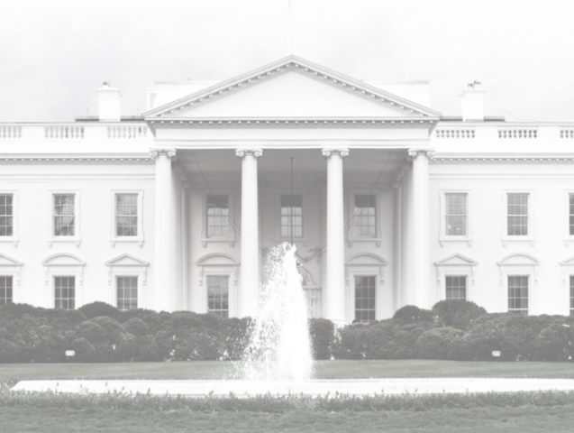 Contentious Presidential Elections