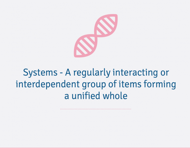 6th Grade - Body Systems 