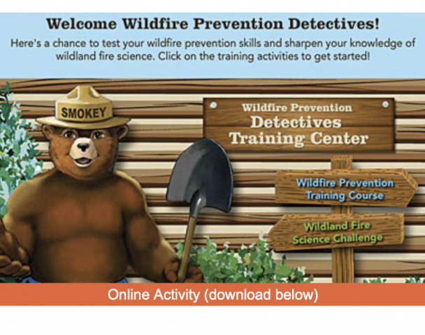 Smokey Bear's Wildfire Prevention Detectives