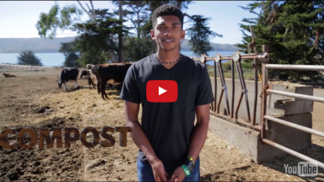 Flipside Science: Renewable Energy: Powered by Poop