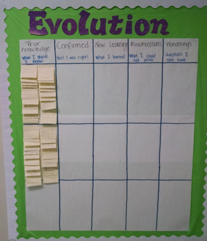 Introducing a Unit on Evolution