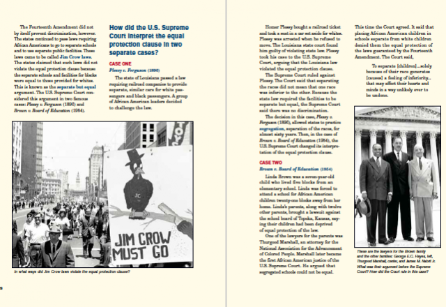 We the People: The Citizen & the Constitution (MS)