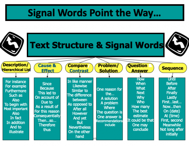 Non-fiction graphic organizer