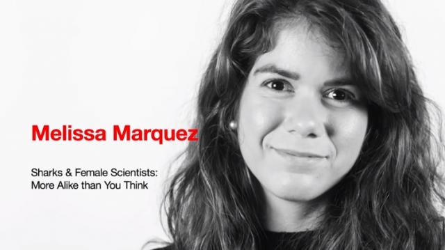 TED Talk - Sharks & Female Scientists: More Alike than You Think