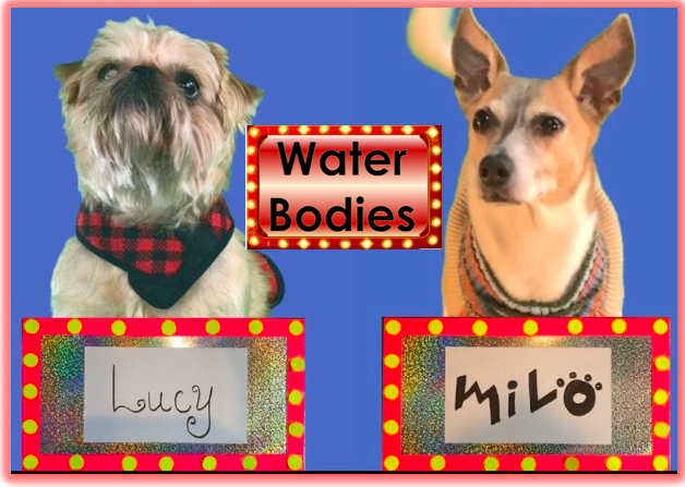 Bodies of Water Lesson for Kids