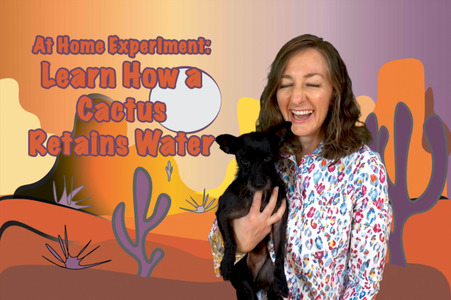 At Home Experiment: Learn How a Cactus Retains Water