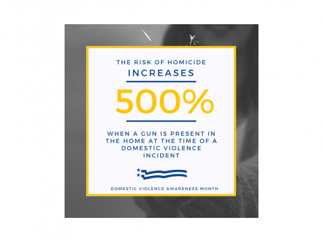 Domestic Violence and Access to Guns