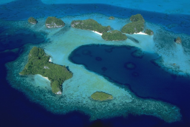 The Coral Reefs of Palau: Nature's Amazing Underwater Cities