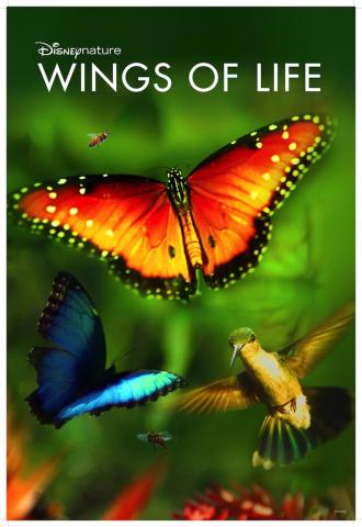 Disney Nature Wings of Life Educator Guide