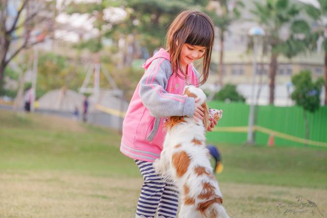 6 Tips to Preparing Children for Pets