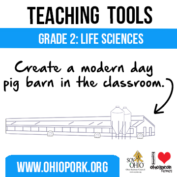 Build Your Own Pig Barn - A Great Project for Kids