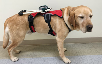 NSF Science Now: Episode 39