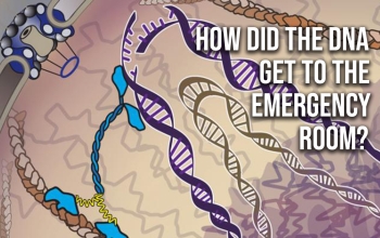 4 awesome discoveries you probably didn't hear about this week -- Ep. 7