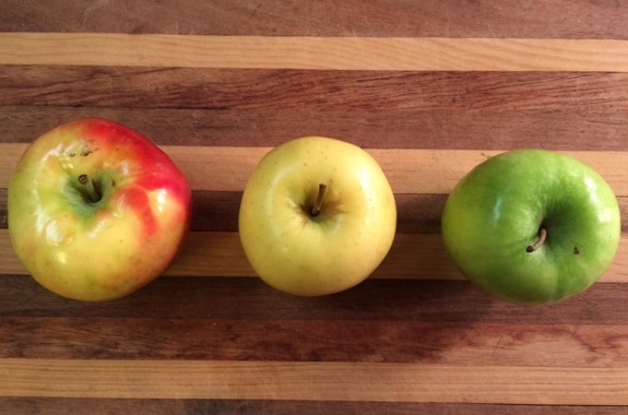 Examining Plant Cell Structure: Mushy Apple Investigation