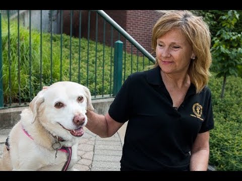 NSF Science Now: Episode 60 -- Diabetes & Dogs!  