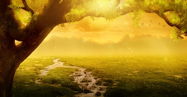 A Midsummer Night's Dream guide