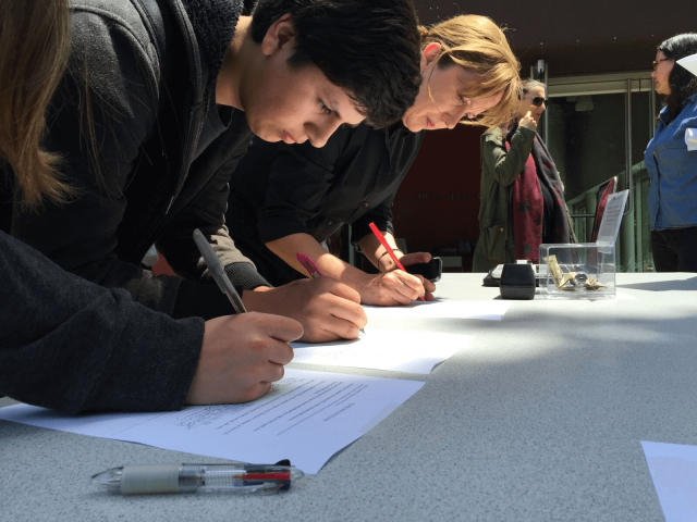 The Advocate:  Impact Campaign Lesson Plan