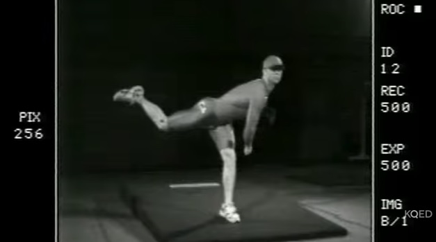 The Physics of Baseball