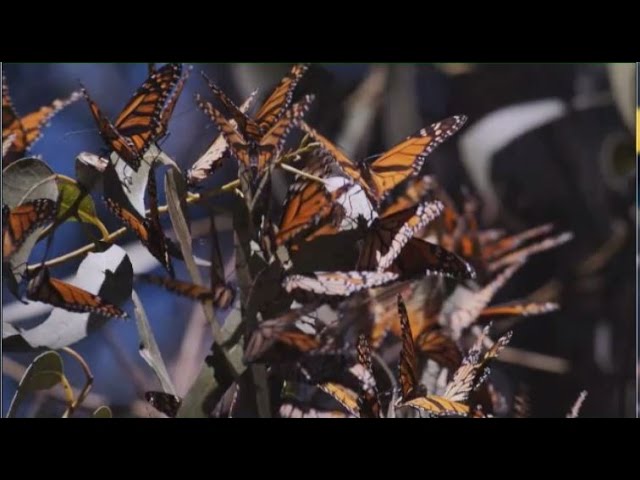 NSF Science Now: Episode 2