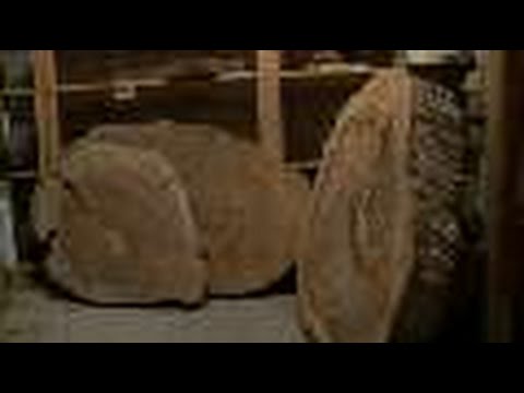 NSF Science Now: Episode 11