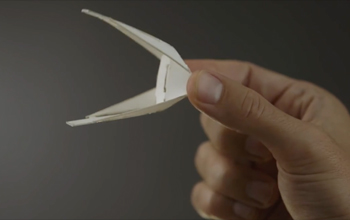 NSF Science Now: Episode 42