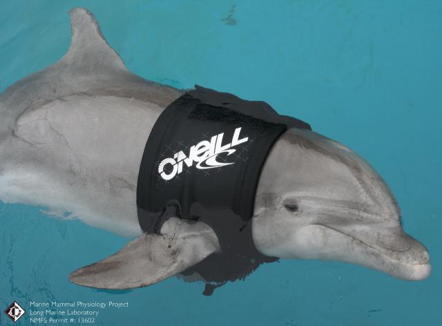 NSF Science Now: Episode 51