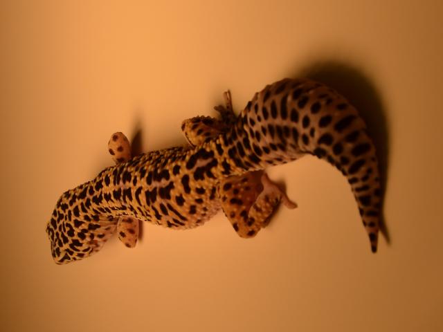 NSF Science Now: Episode 53