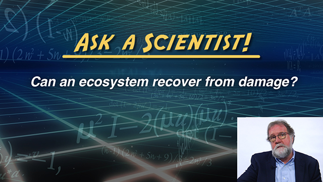 Ask a Scientist: Sean Carroll - Can an ecosystem recover from damage?