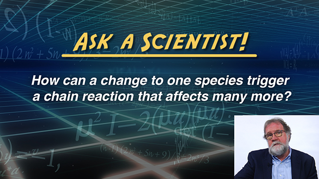 Ask a Scientist: Sean Carroll - How can a change to one species trigger a chain reaction that affects many more?