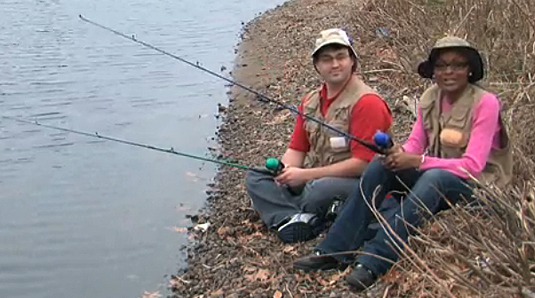 Averages: Still Flawed