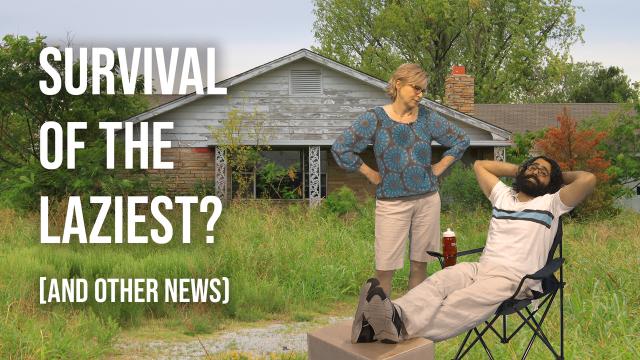 4 awesome discoveries you probably didn't hear about this week -- Episode 13