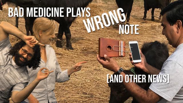 4 awesome discoveries you probably didn't hear about this week -- Episode 14