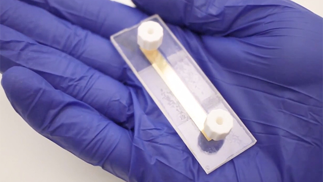 New biosensors streamline the detection of diseases in your bloodstream