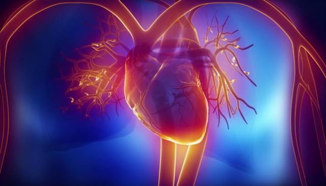 Science Nation 290: Bioengineering infant heart patches with the baby’s own heart cells