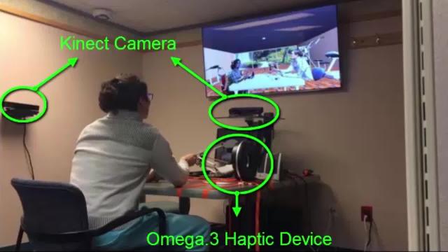 Remote immersive telerehabilitation