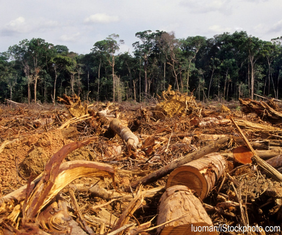 The Human-Made Landscape