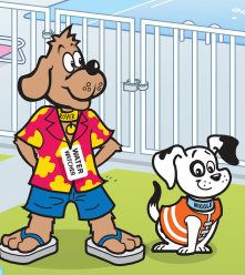 Start Safe: Water Safety