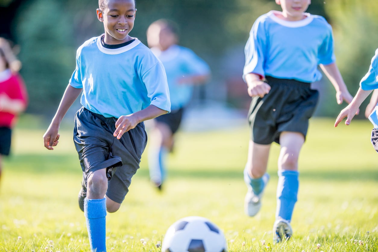 Fitness Training & programming